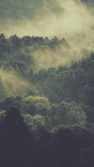 泛目录 是什么截图1