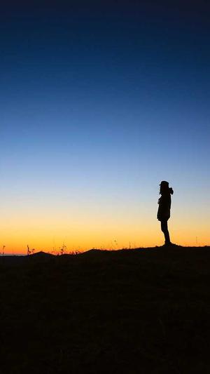 沧州网站建设优化截图4