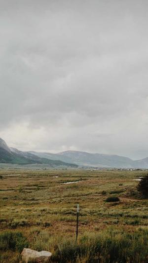 零距离蜘蛛池怎么进截图3