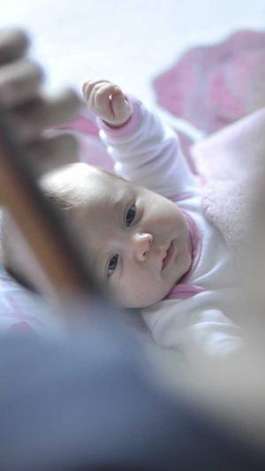 宁波seo优化工具教程截图2