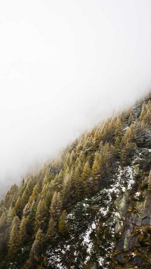 seo网页优化截图1