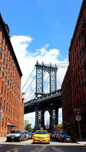 泛目录引蜘蛛截图3