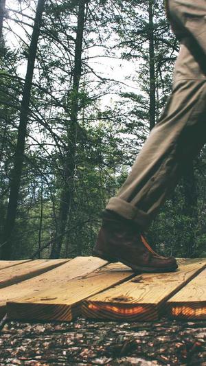 泛目录链接推广截图3