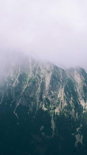 黑侠蜘蛛池截图2