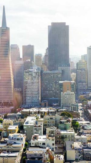 企业网站建设排名截图1