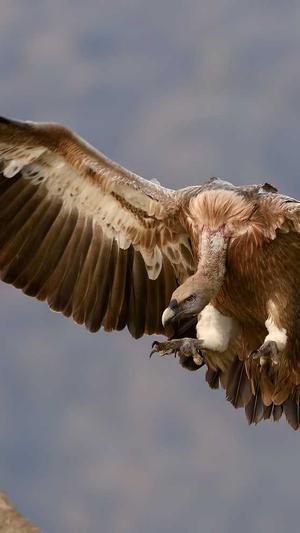 舟山网站建设截图5