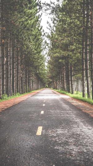 佛山网站的建设截图1