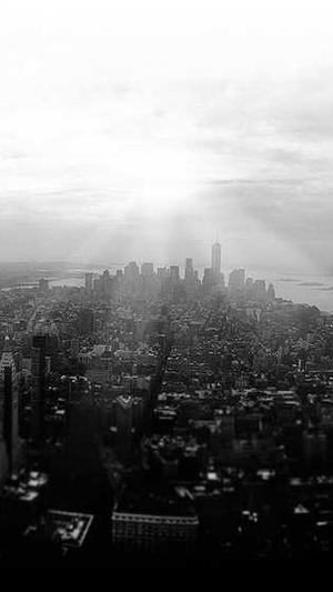 seo网络优化推广截图4