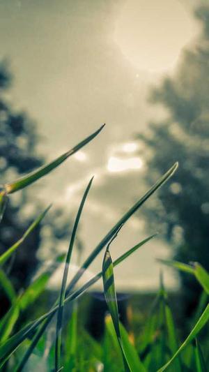 爱站seo工具截图2