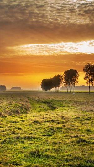 seo刷排名咨询工具截图2