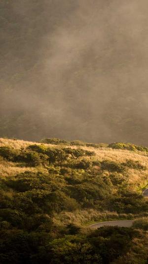 seo如何建立站群泛目录截图3