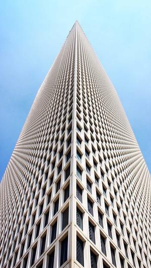 泛目录最新软件截图3