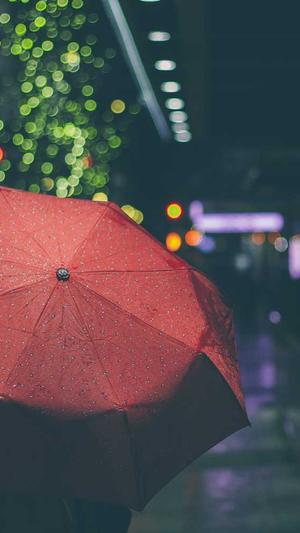 昆山seo优化截图3