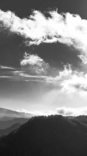 360蜘蛛池怎么搭建截图3