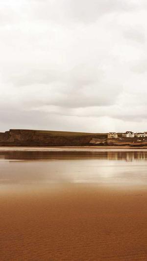 搜狗蜘蛛池出租秒收截图3