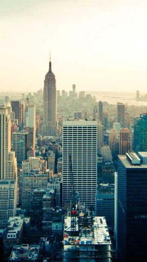 seo分析工具包截图5