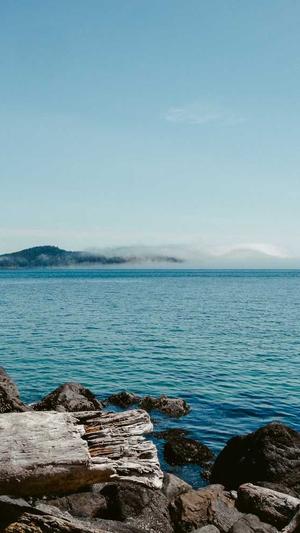 新乡网站建设截图2