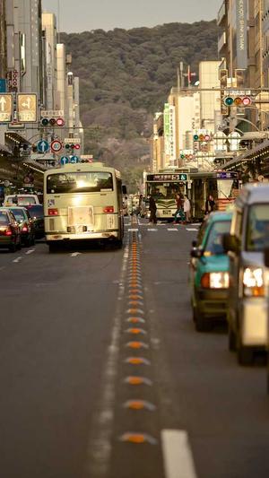 seo泛目录怎么操作快照截图3