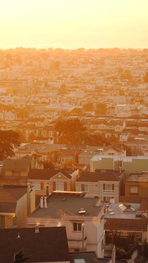 天津搜狗蜘蛛池租用截图3