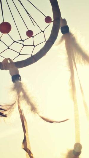 东阳网站建设截图2