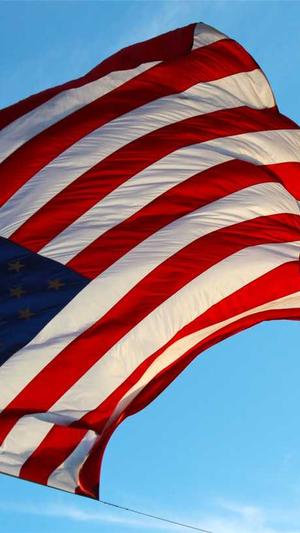 今日头条seo工具截图1