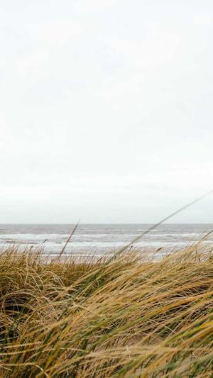 蜘蛛池的虫子叫什么截图2