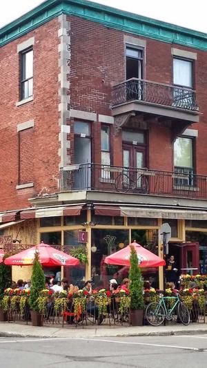 小旋风蜘蛛池好不好用截图2