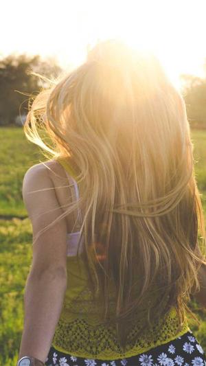 seo网站营销工具截图2