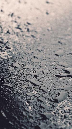 蜘蛛池建造程序截图5