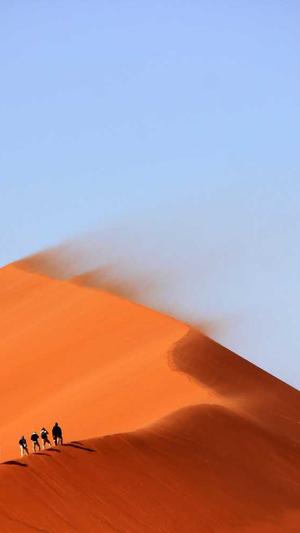 黑帽泛目录源码截图3