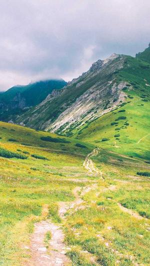 外链工具超级蜘蛛池截图4