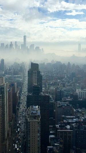 seo刷排名咨询工具截图4