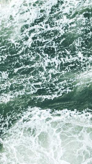 企业门户网站建设截图3