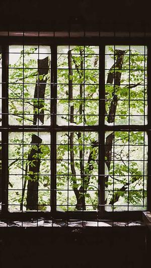 南京模板网站建设截图2