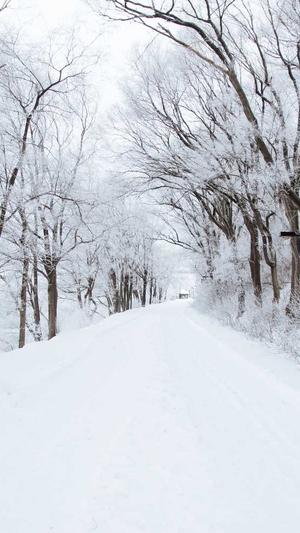 测试蜘蛛池截图2