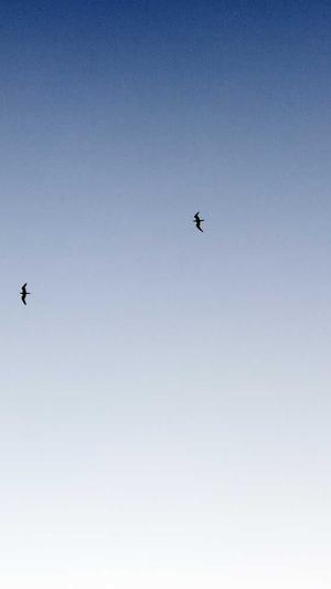 seo查询站长工具关键词截图3