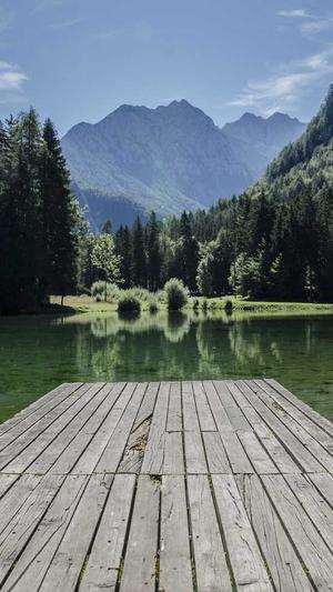 泛目录效果好吗截图2