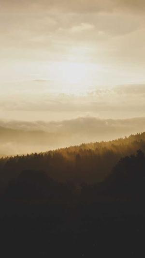 泛目录二级域名截图3