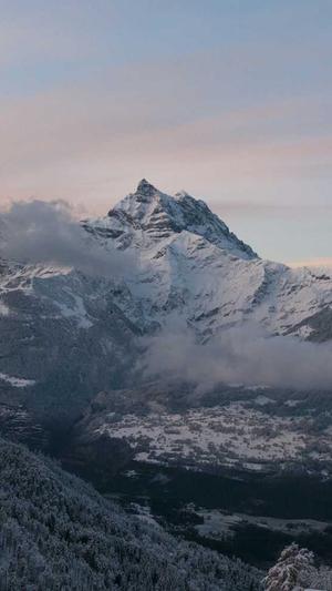 seo报价工具截图1