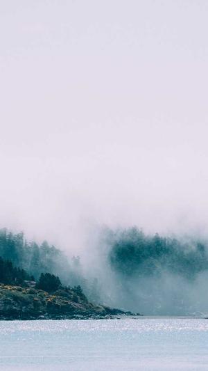 泰州seo站长工具截图1