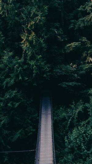 seo如何建立站群泛目录截图1