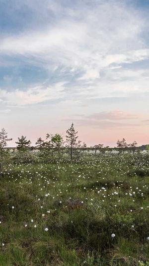 免费SEO工具截图2