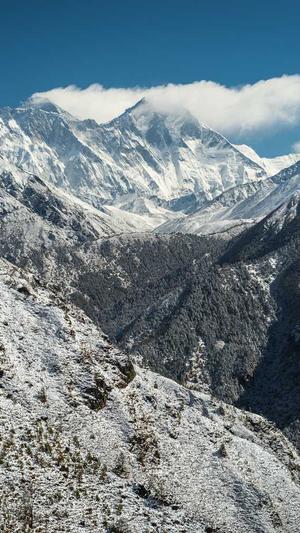 厦门seo公司截图3