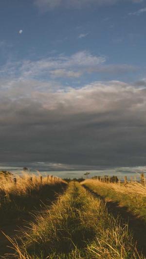 郑州seo在线优化工具截图5