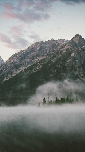 百度秒收录蜘蛛池接单截图2