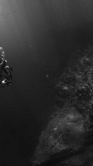 台州网站建设截图3