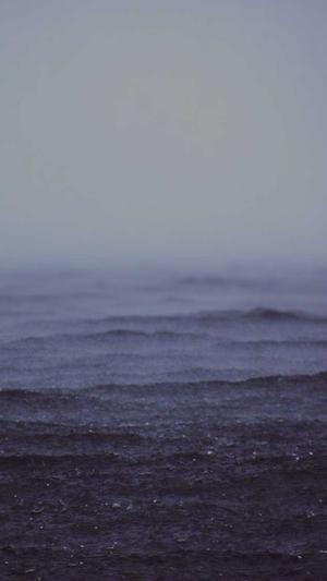 郑州seo在线优化工具截图4