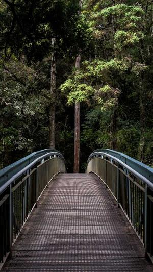 天津搜狗蜘蛛池租用截图4