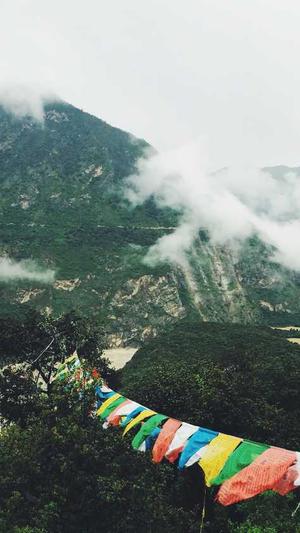 求网站建设截图3