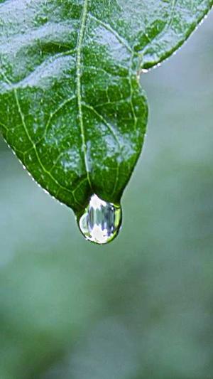 蜘蛛池教程视频大全截图2